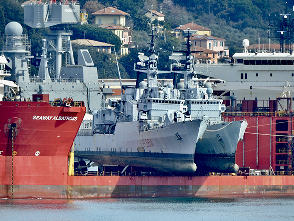 SEAWAY ALBATROS