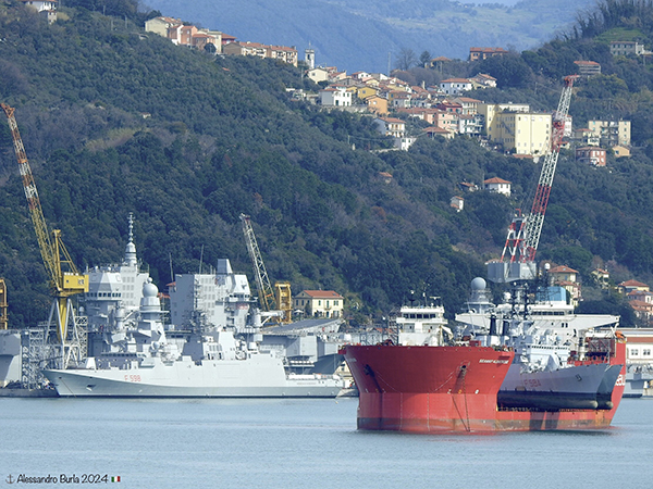 SEAWAY ALBATROS