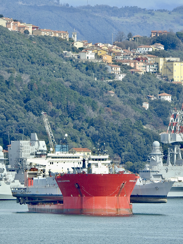 SEAWAY ALBATROS