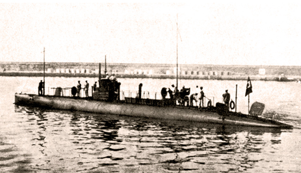 NARVALO (1°)