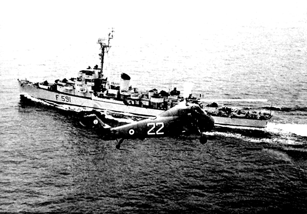 HSS-1 (22)