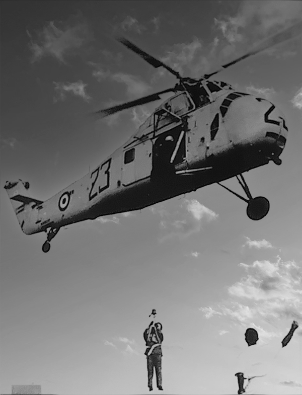 HSS-1N (23)