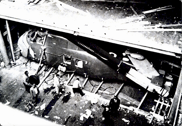HSS-1N (26)