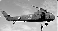 HSS-1 (21)