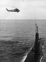 HSS-1 (22)